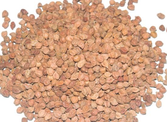 Chana (चना)-1kg