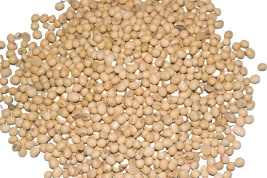 seto Bhatmas (भटमास) - 500g