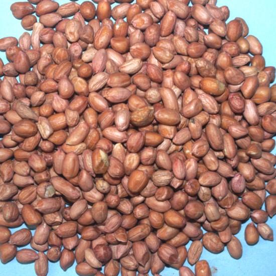 Mungfali, Mamfali, Badam (ममफली)-250g