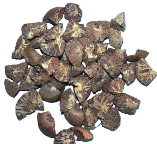 सुपारी (Supari) - 50g