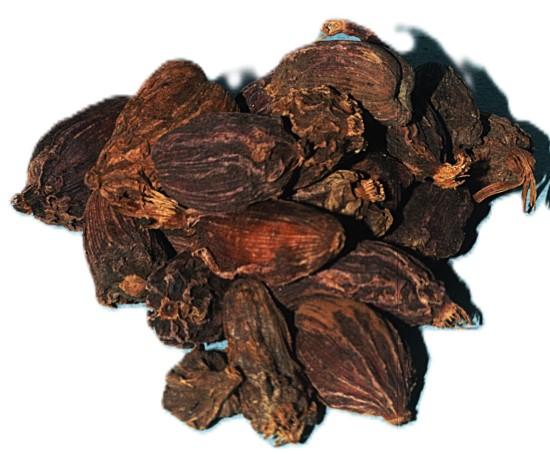Thulo Sukumel (ठूलो सुकुमेल)-50g